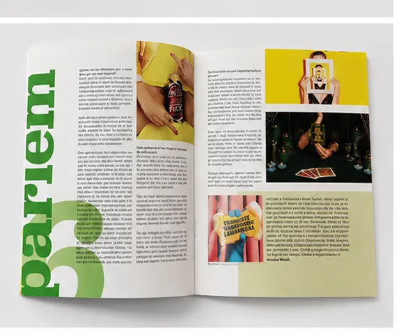 Mostra del projecte Layout (3)